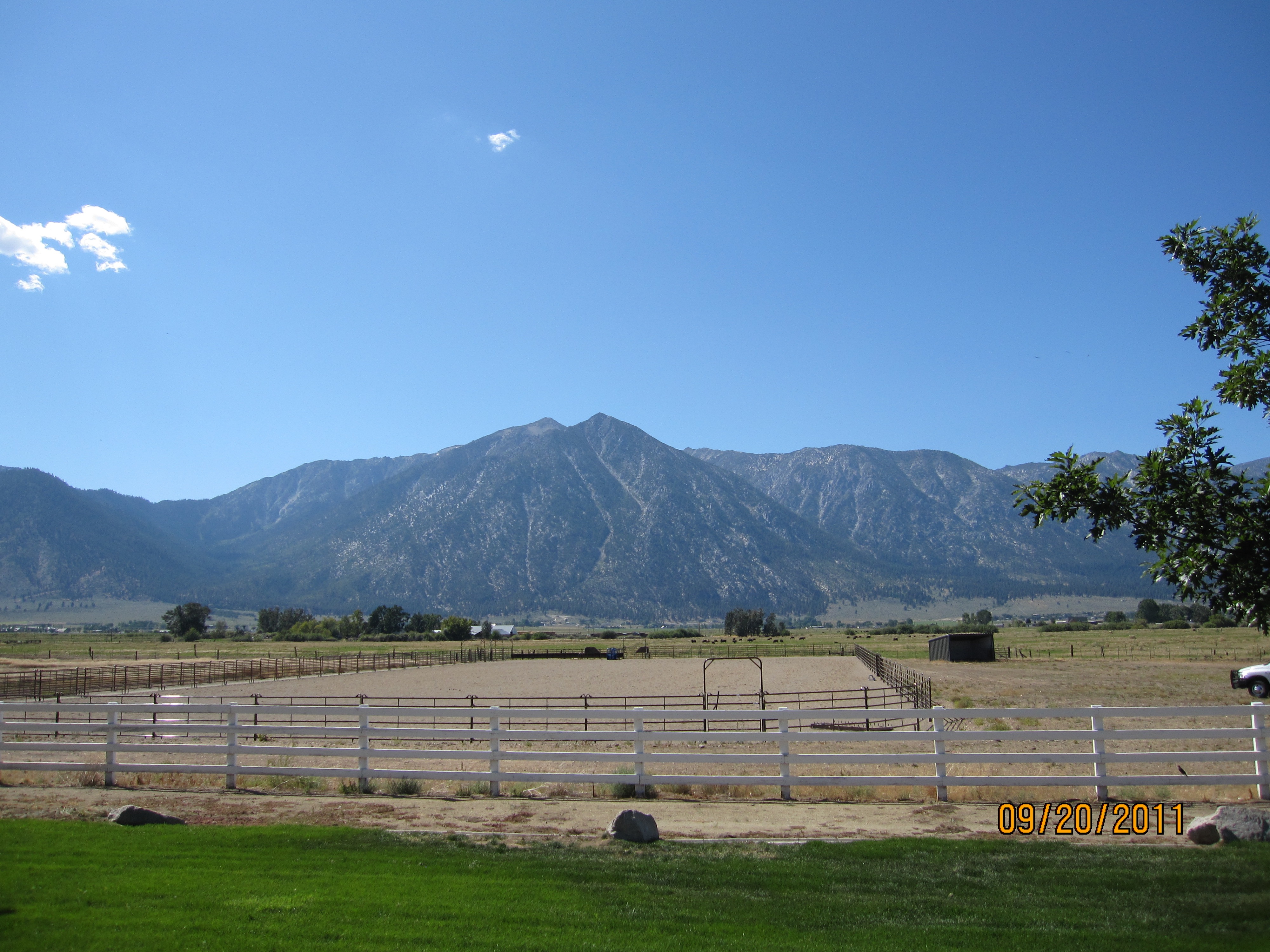 Arena ClayOCooper 02.jpg